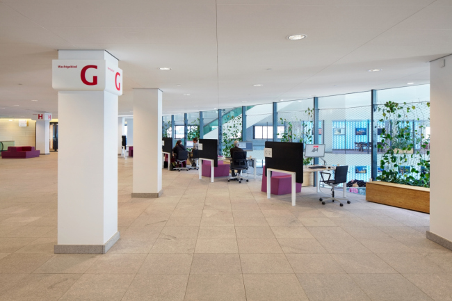 ������ ������� � Stijn Poelstra