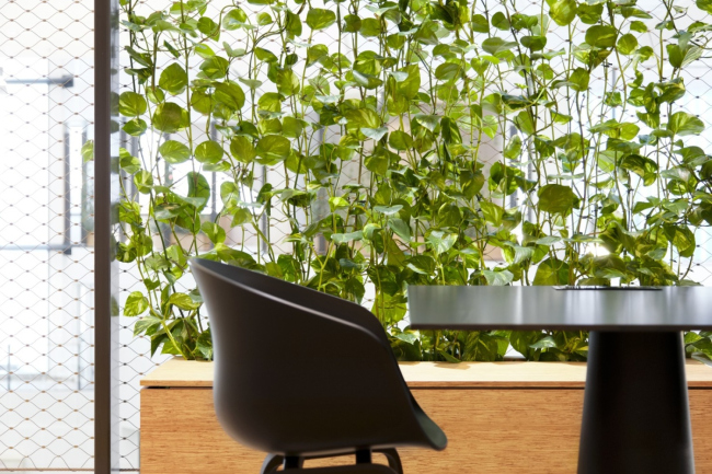 ������ ������� � Stijn Poelstra