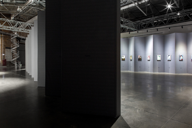 The exhibition "Losing Face" by Jan Vanriet. Photo: Danila Remizov