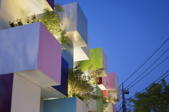 Sugamo Shinkin Bank / Nakaaoki branch  Daisuke Shima / Nacasa & Partners