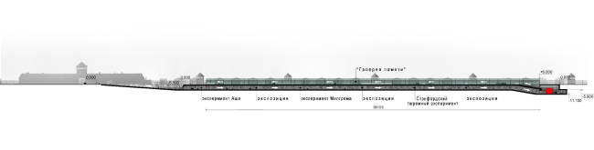 Auschwitz Memorial Complex. Section view  Arch group