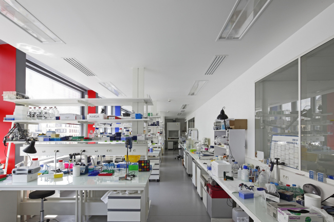 �������� ������������ �������� Imagine �������� ������. Ateliers Jean Nouvel & Valero Gadan Architectes. ����: Patrick H. Müller