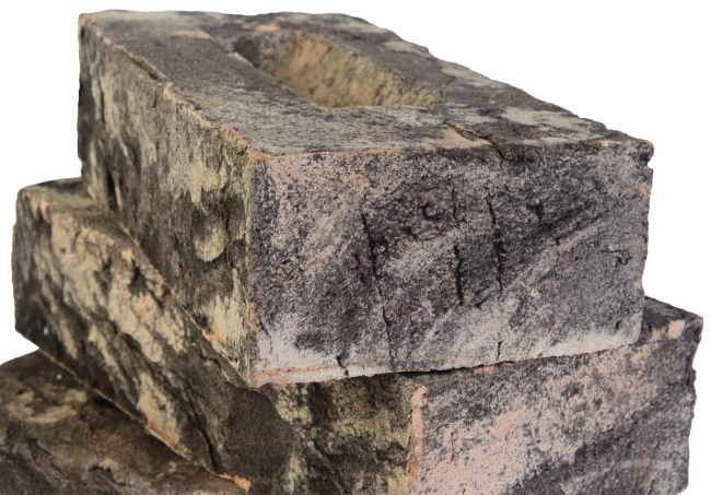 ������ ������ �������� �������� ����, ��������� �����������, ��������� �������� ������.