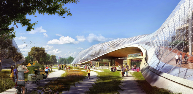 ����� ������ Google. BIG � Heatherwick Studio. �����������:  Google 