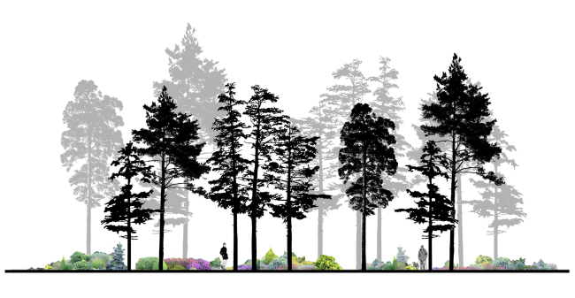 ������� �� �������� � �������������� ������� ������ ����������. ��������� �������� �������. �����: ������ �������