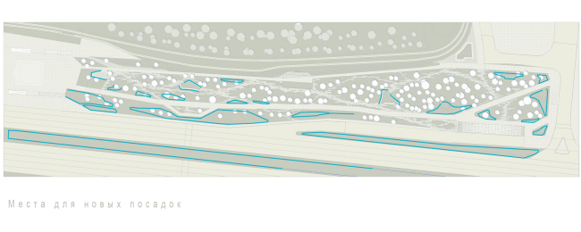 Plan of the green noise screens. Concept of "Dinamo" Boulevard. Author: Ksenia Zvereva