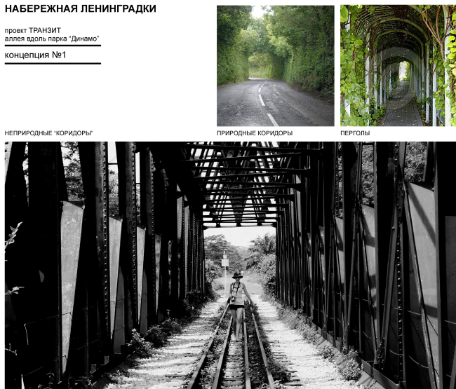 Examples: natural and man-made corridors. Concept of "Dinamo" Boulevard. Author: Anastasia Rozhkova