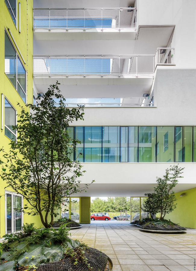 ������ �������� � ������� � ����������� ����� �����-������ � Sergio Grazia