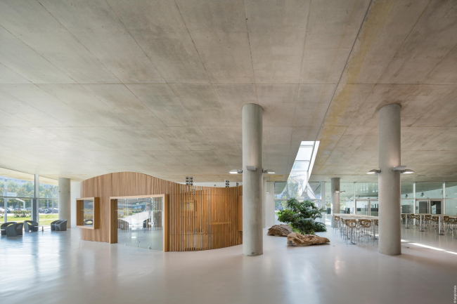 ������ �������� � ������� � ����������� ����� �����-������ � Sergio Grazia