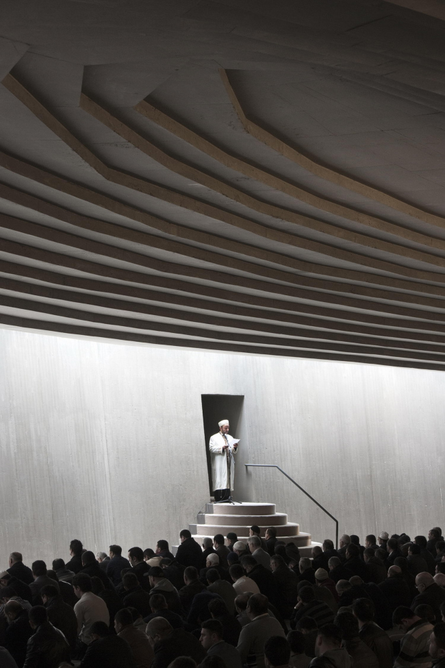 ������ ���������� � Thomas Mayer