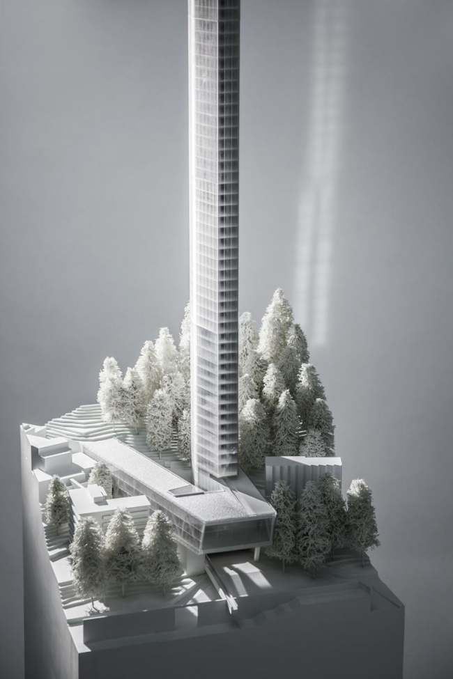 ��������� 7132 � Morphosis Architects, Inc. ����������� � ����� morphopedia.com