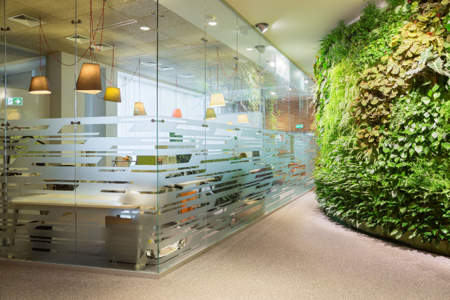 ���� �������� ������� �� ����� ���� �������� (2-� �������) 