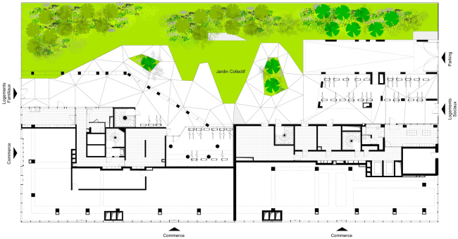   Home  Hamonic + Masson & Associ&#233;s, Comte Vollenweider