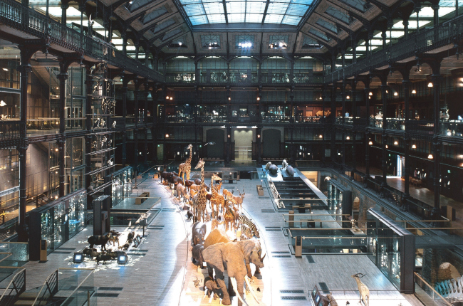 ����� ��� ������� � Paul Chemetov Borja Huidobro ADAGP