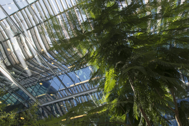 ������ ������-������ � Foster + Partners