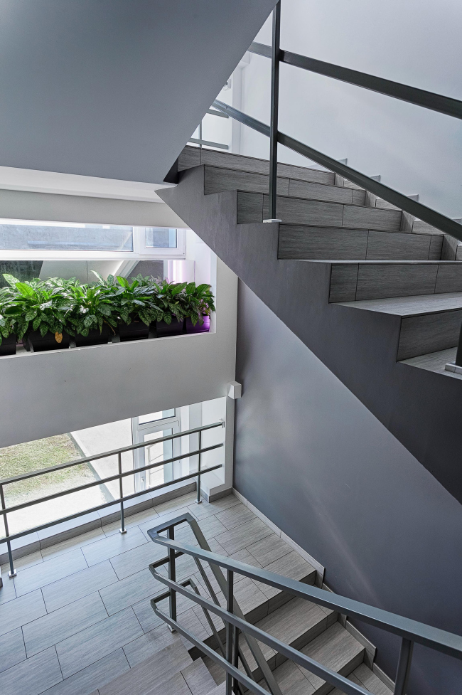 ����������� ��������� ������-����� ������ ������. ����: ������� �������� � PROA