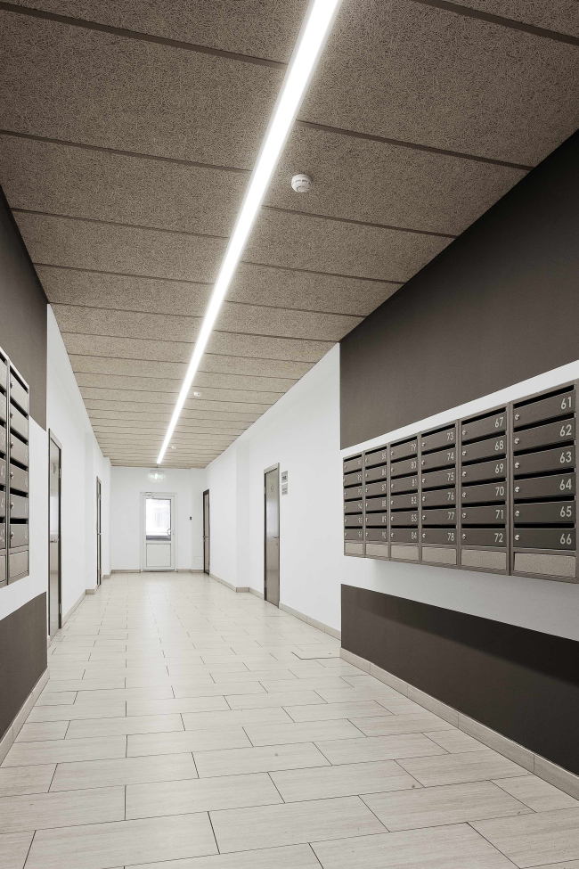 ����������� ��������� ������-����� ������ ������. ����: ������� �������� � PROA