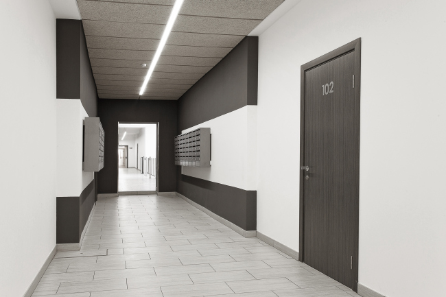 ����������� ��������� ������-����� ������ ������. ����: ������� �������� � PROA