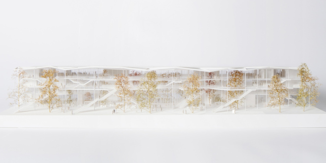 ������� ����� ��������������� ����� � ������� �����-�����