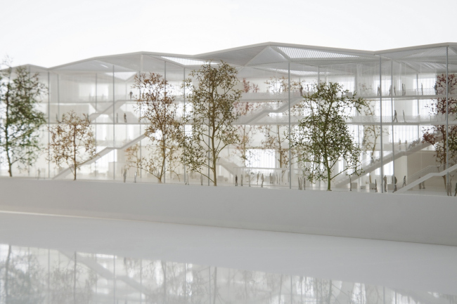 ������� ����� ��������������� ����� � ������� �����-�����