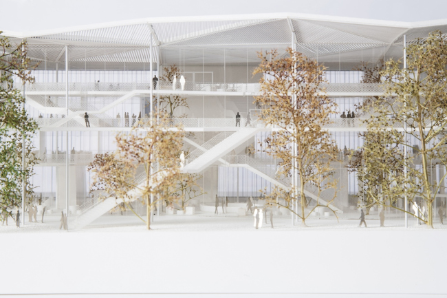 ������� ����� ��������������� ����� � ������� �����-�����