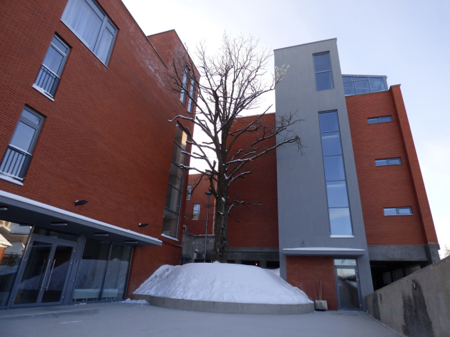 �����-����� ��������. ������� �������, 1 � 3 ������� � �������������  ���������� ������� ����