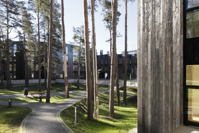 ����� �������� Pērle � Ansis Starks