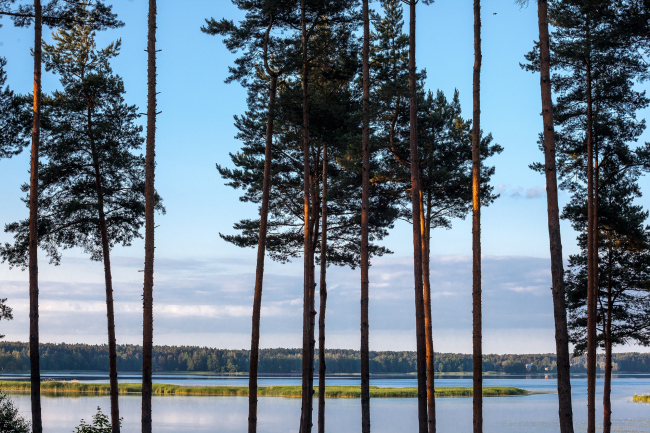 ����� �������� Pērle � ���� ������������� SIA New Europe