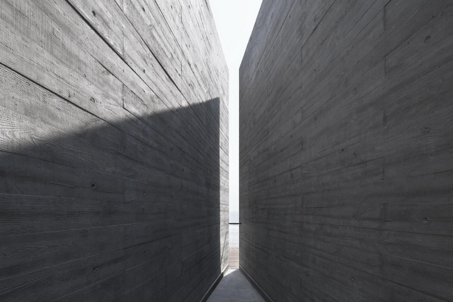 ���������� ����������. ����: Xia Zhi � Vector Architects