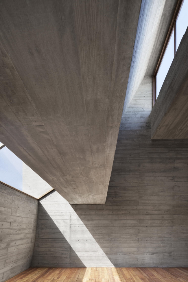 ���������� ����������. ����: Xia Zhi � Vector Architects