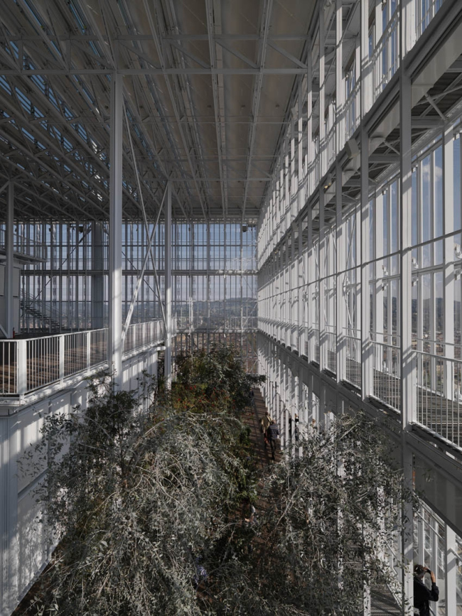 ������ Intesa Sanpaolo � Enrico Cano
