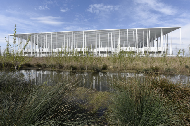 ����� ������� �����. Herzog & de Meuron � Francis Vigouroux