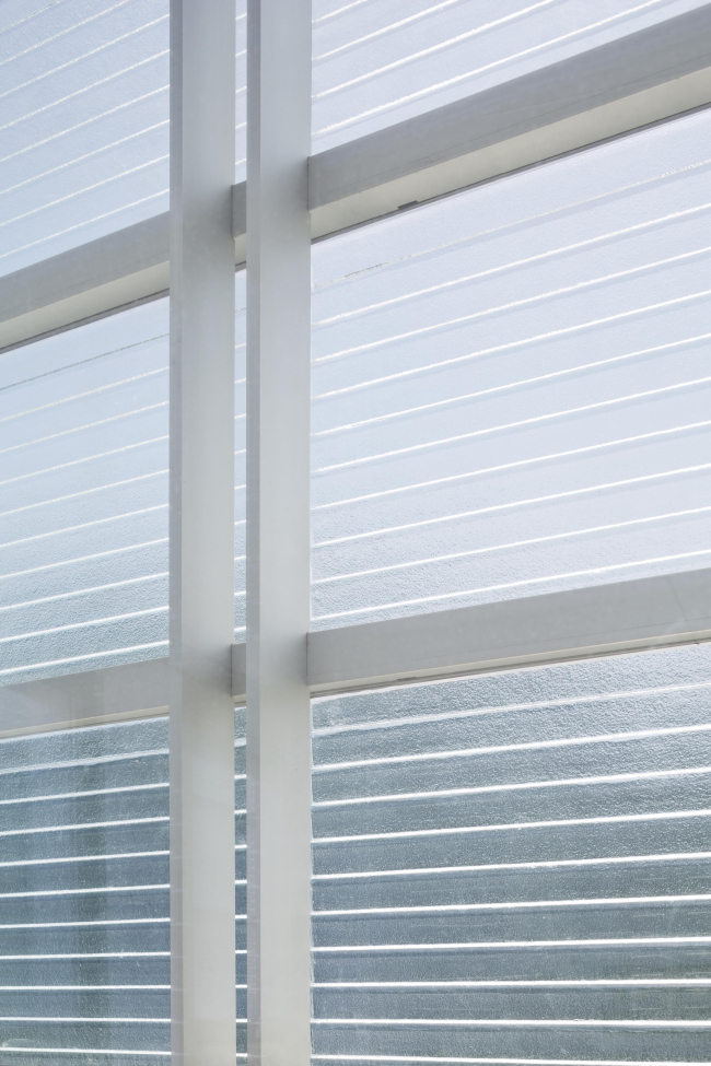 �������� ������������� � ���������� ������������� ������������. Photography by Michael
Moran