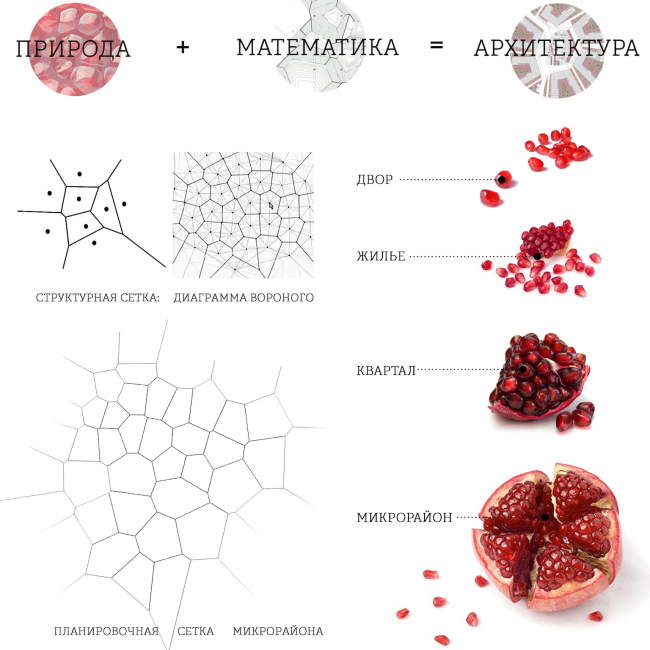 Проект «Жилой район в Бескудниково». Город Москва. Автор: Алена Грузинова, студент 6 группы 4 курса кафедры «ПРОМ» Проект «Жилой район в Бескудниково». Город Москва. Автор: Алена Грузинова, студент 6 группы 4 курса кафедры «ПРОМ»
