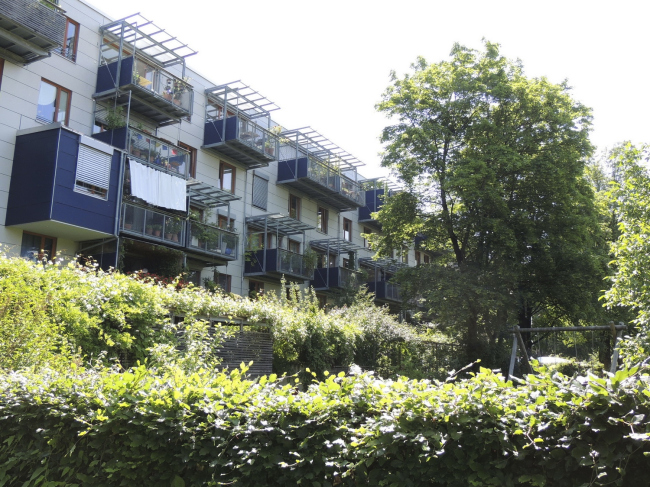 ����� ��� Rigoletto � ������� � ��������� ���������