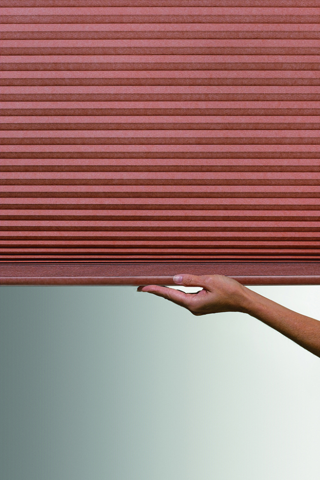 ���������� ������������� ��������� QMotion � 