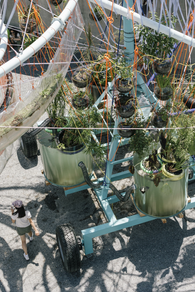 �������� Cosmo � Miguel de Guzman