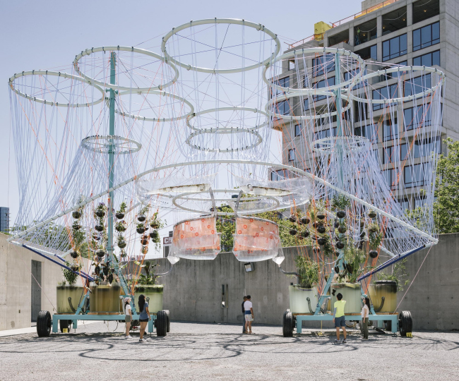 �������� Cosmo � Miguel de Guzman