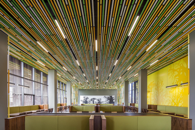 ������������� ���������-����� � ������ � Emre Dörter