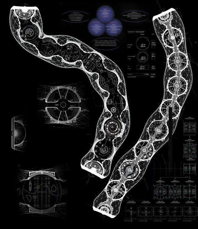 ������ III �������. ���� ��������. ��������� ������ ������������� ����������. ������-����������������� ������� � ������������� ���������. �����  2 ������� ���������� �����