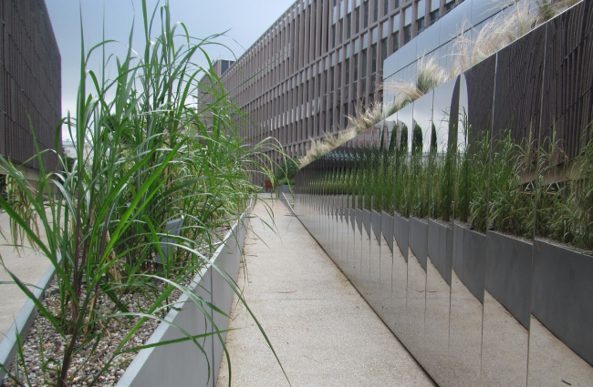 �������� ������������� ��������������� ��������� � ������ Météo France � Architecture Patrick Mauger