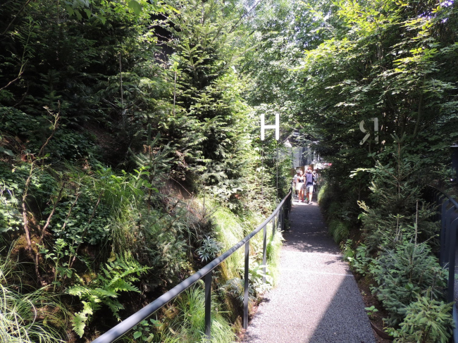 �������� �������. ���������� � ��������� ���������