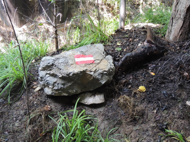 �������� �������. ���������� � ��������� ���������