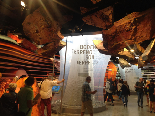 �������� ��������. ���������� � ���� �����������