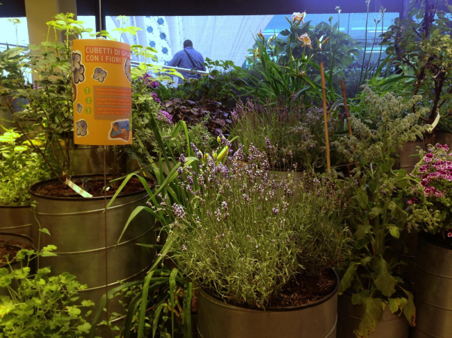 �������� ��������. ���������� � ���� �����������