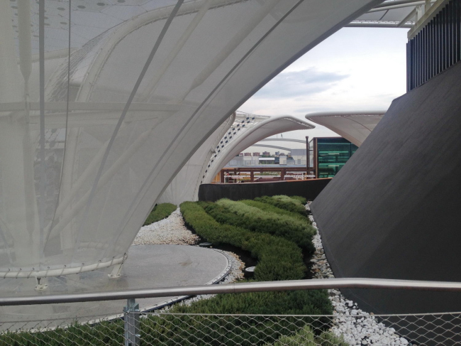 �������� ��������. ���������� � ���� �����������