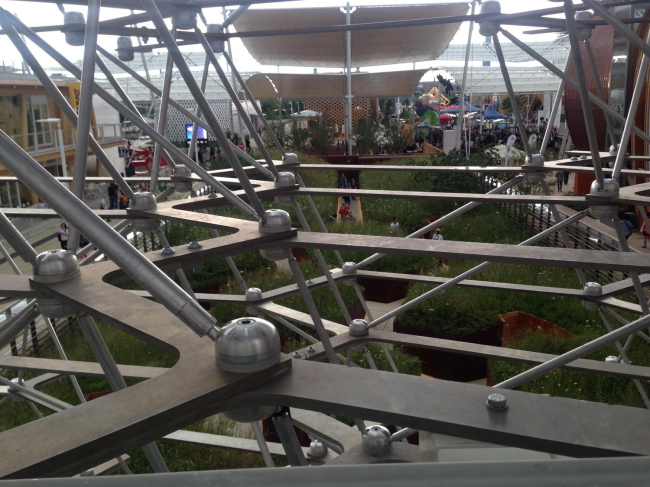 �������� ��������������. ���������� � ���� �����������