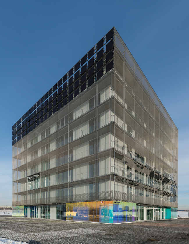 ��������. ����: ���� ������� � BERNASKONI /  ���� �������