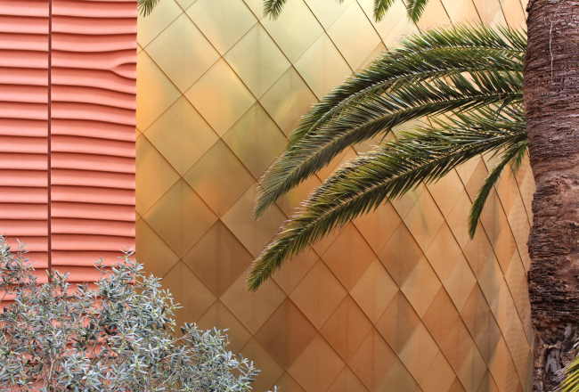 �������� ���. ���������� � ���� ����������