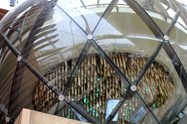 �������� ������������. ���������� � ���� ����������